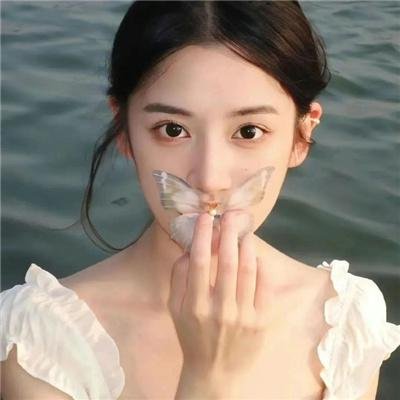 国王与小鸟
